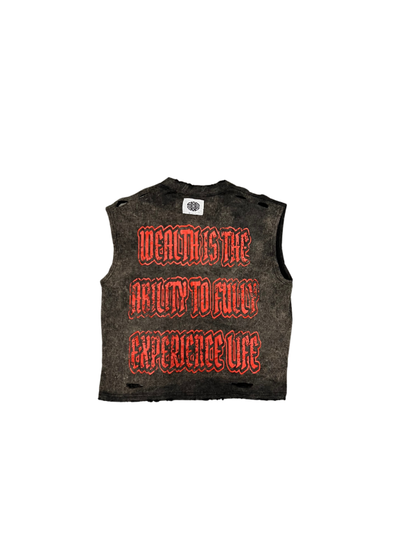 WEALTH IS THE ABILITY TO FULLY EXPERIENCE LIFE CUT SLEEVES SHIRT - Image 2